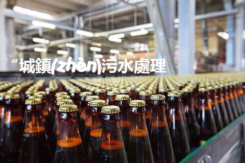 “城鎮(zhèn)污水處理項目，助力綠色家園建設新篇章”